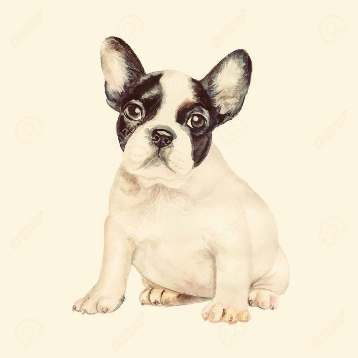 Frz. Bully