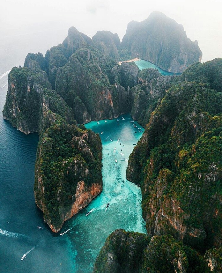 nature