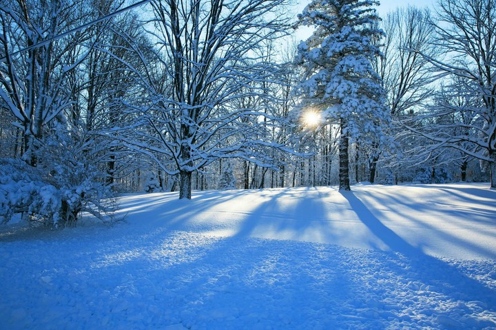 Winter | Scene (T.G)