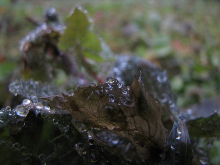 water