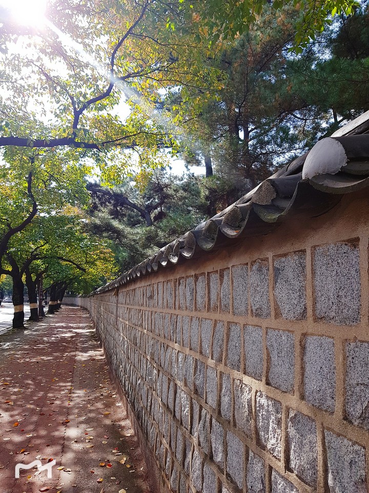 대릉원 길