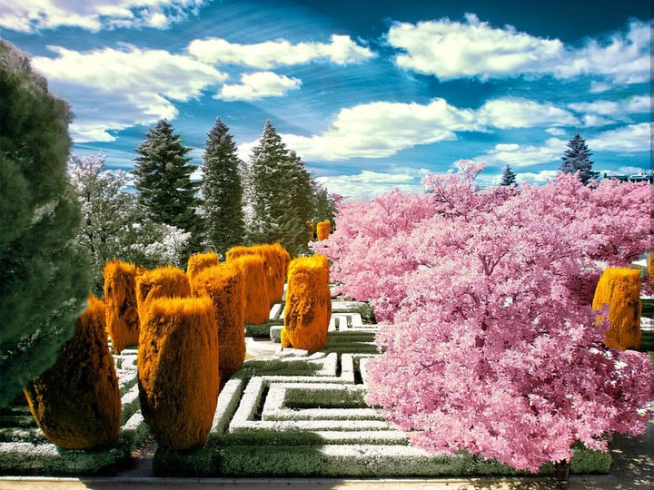labyrint garden