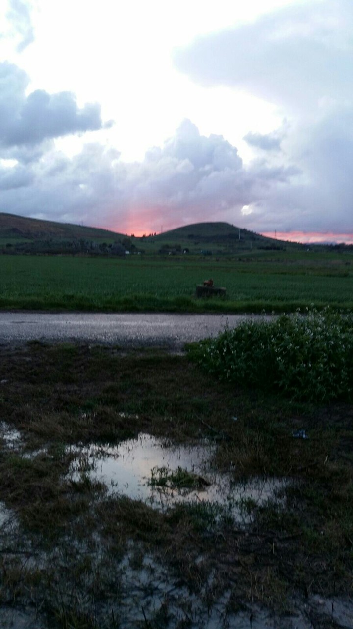 raccolto nullo