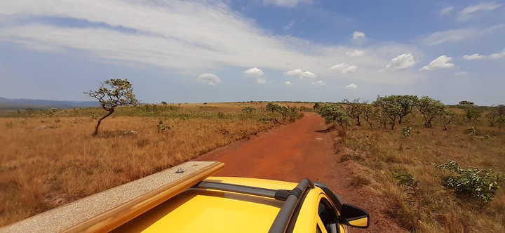 Cerrado