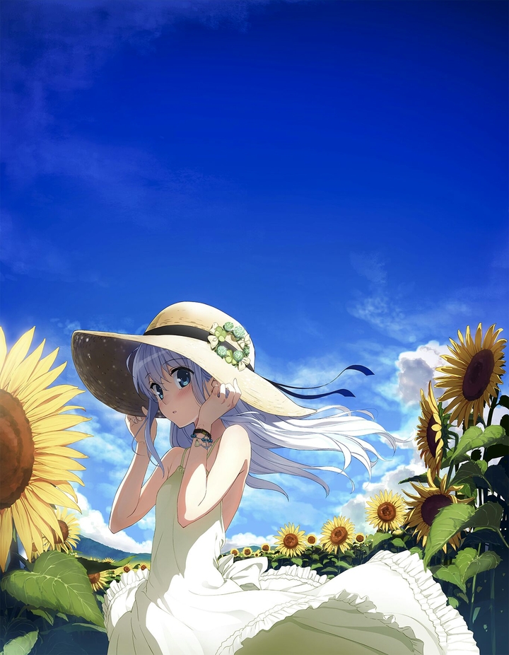 Hibiki from kancolle