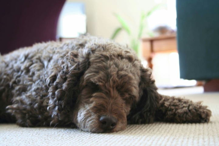 Sleepy
