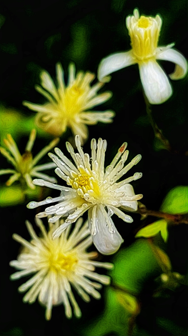 Freshness