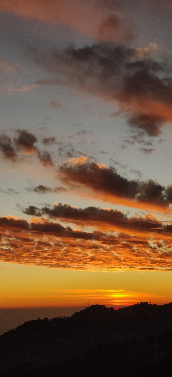 Dawn