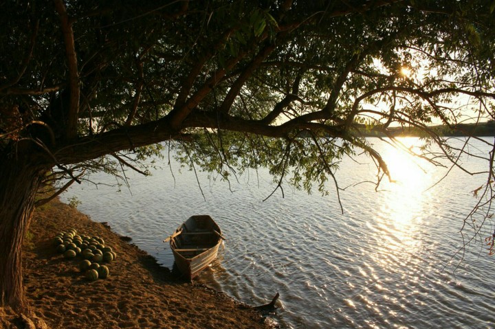 peace on the coast of the Syr-darya