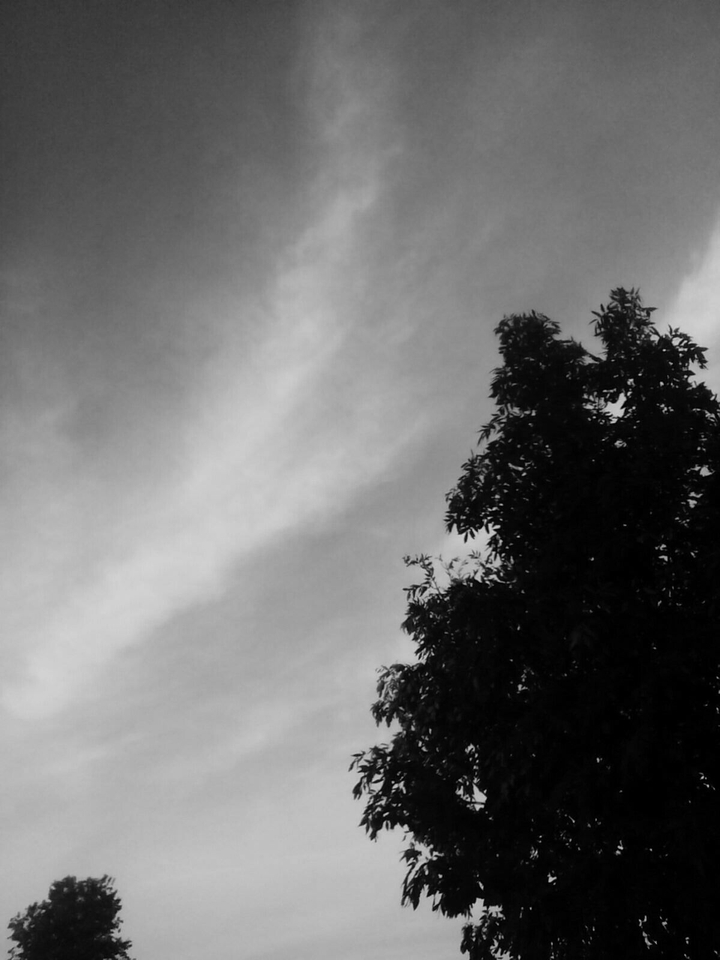 black&white