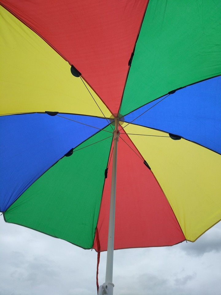 umbrella