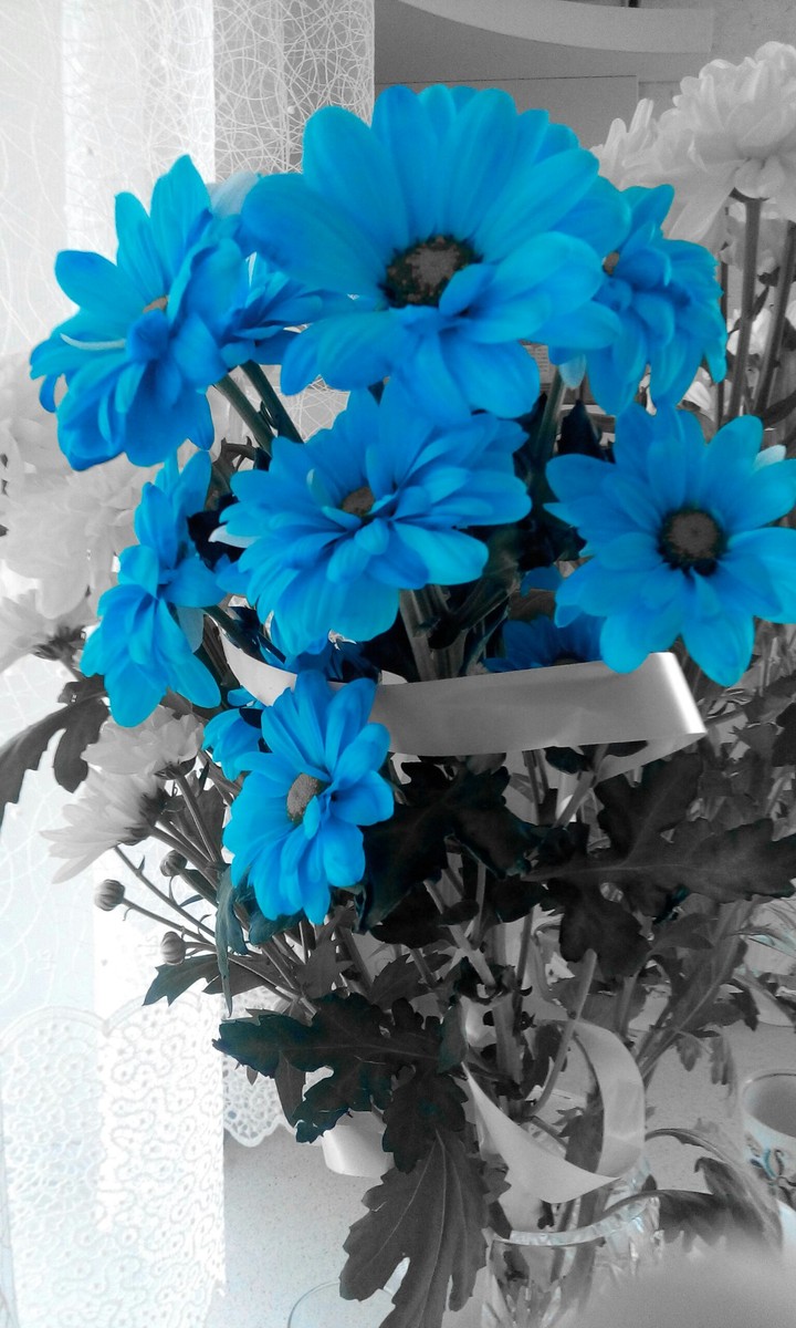 only blue