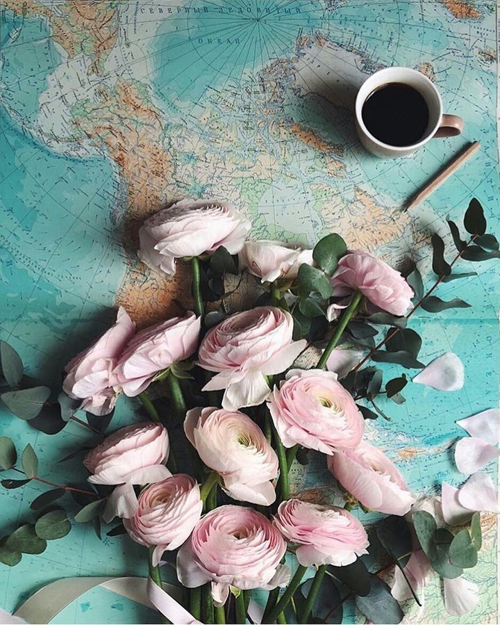 flowers❤