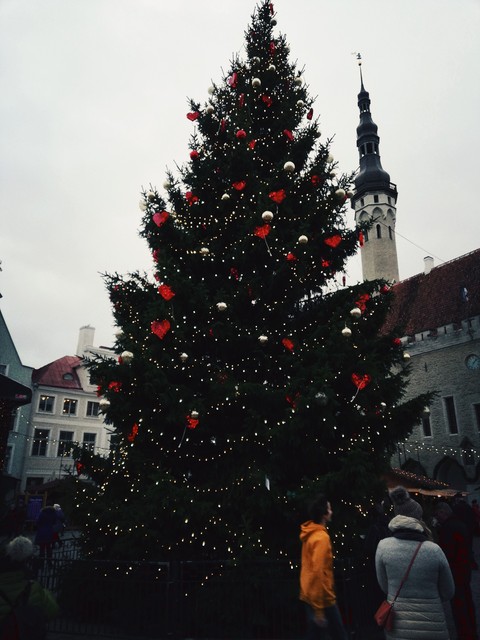 Christmasthree
