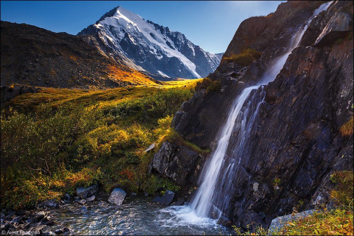 nature