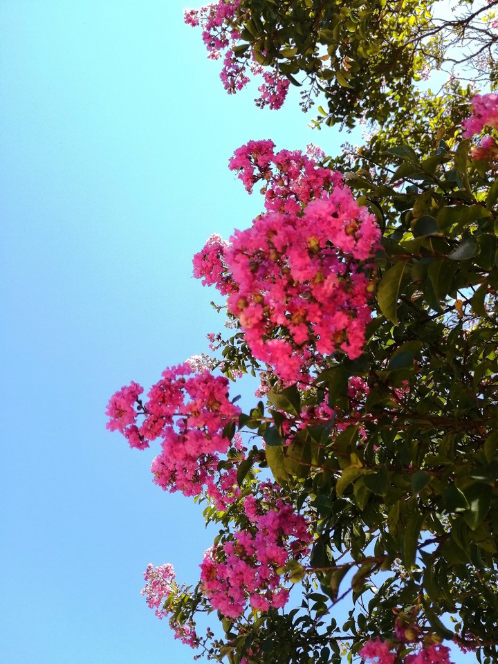 Beautiful sky