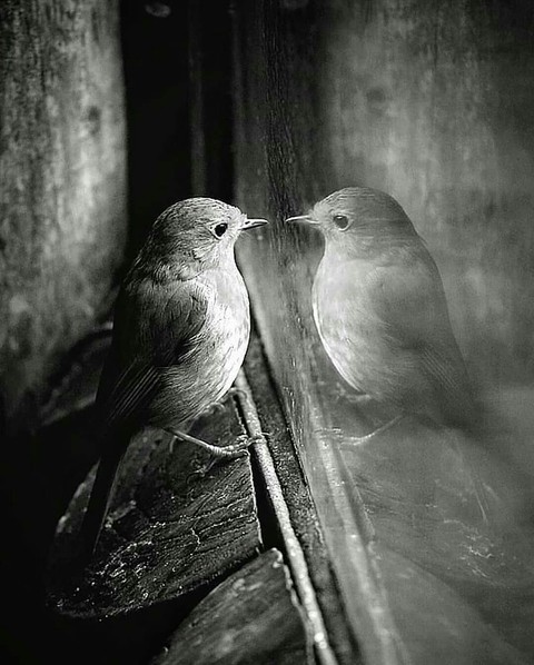hi friend