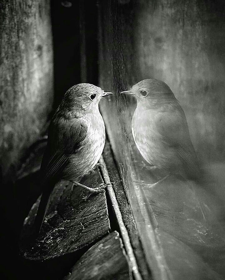hi friend