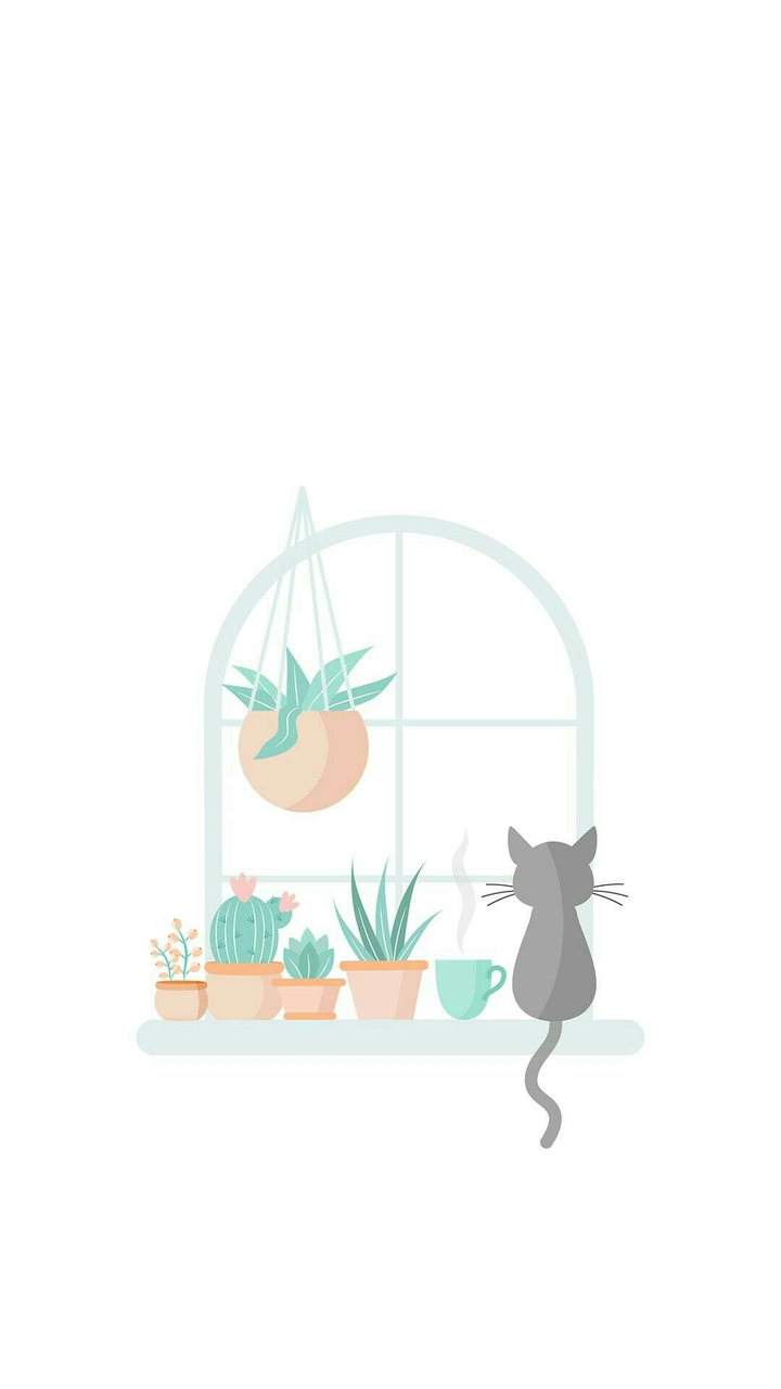 gatito