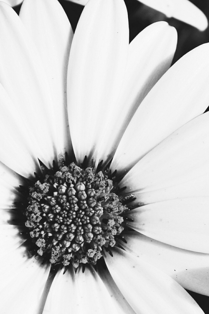 black&white