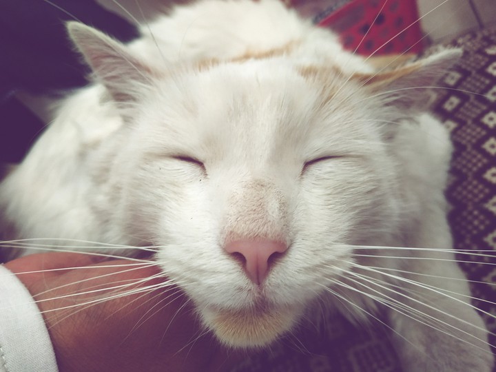Reumasin