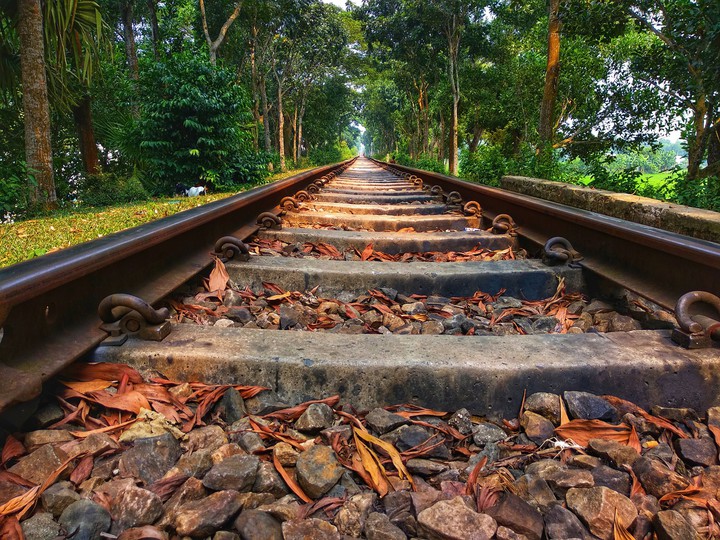 Train Line