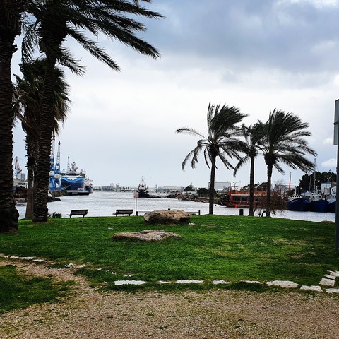 port of haifa