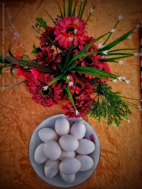 sfondi Egg, flower