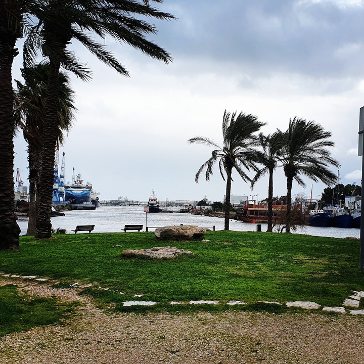 port of haifa