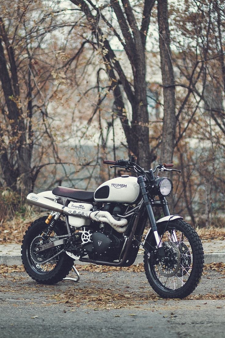 triumph