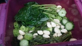 밥상을차리는여자