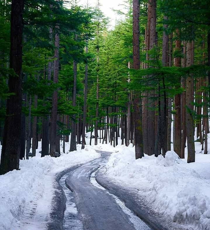 Scenic Beauty