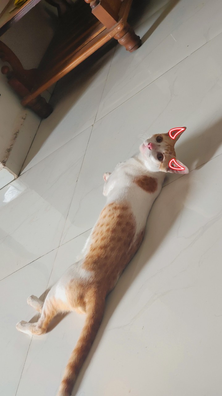 .