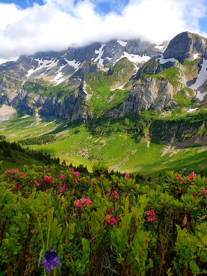 Amazing nature