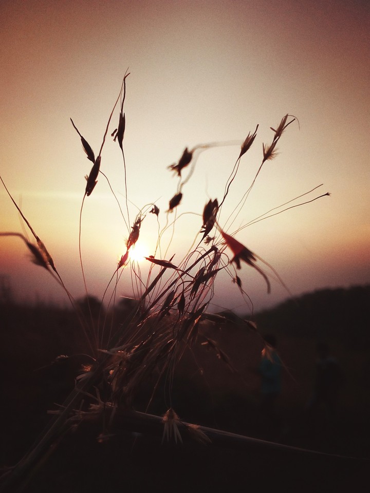Lost in the wild