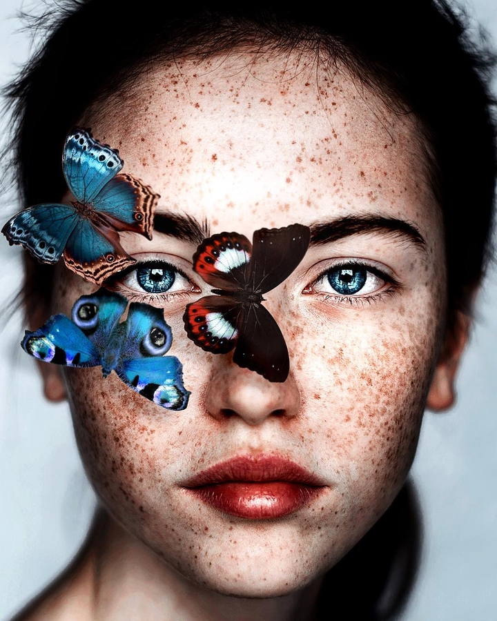 butterfly