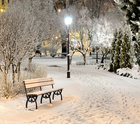 L' hiver