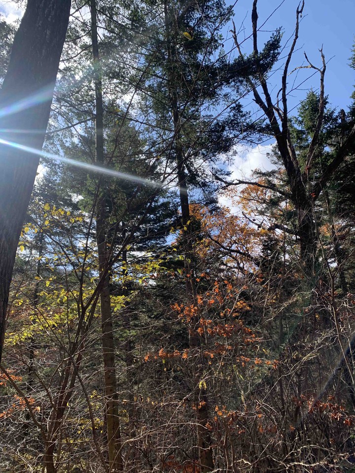 Autumn