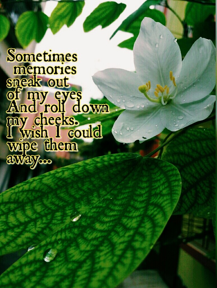 Sometimes I wish......