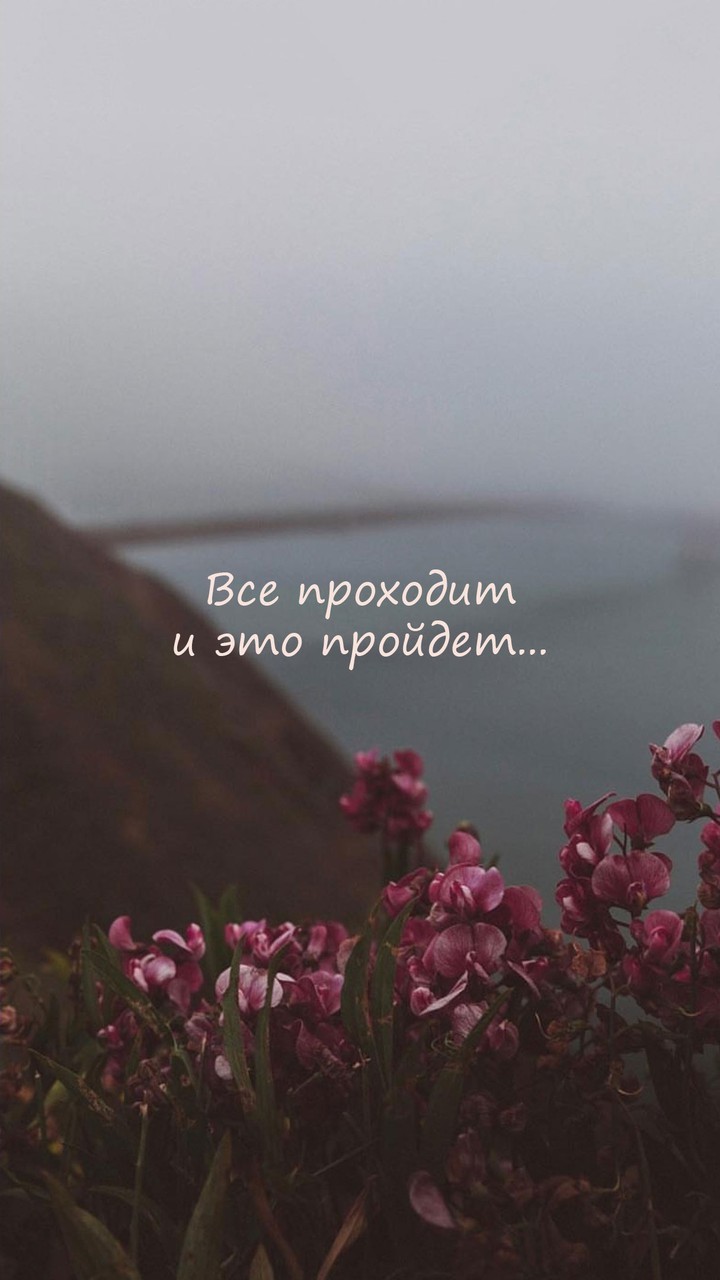 motivation