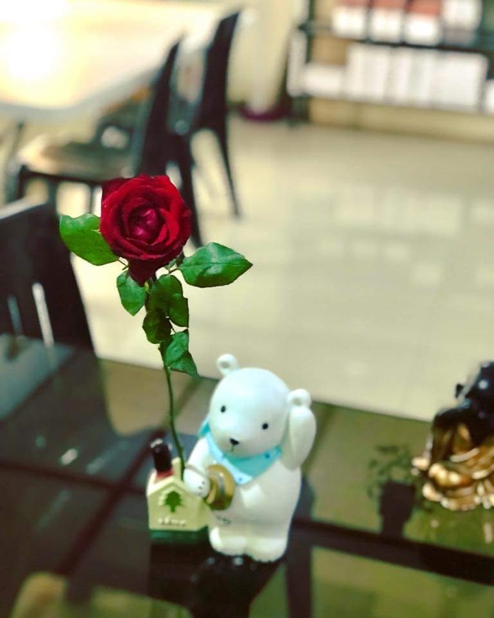 Will you accept this rose?