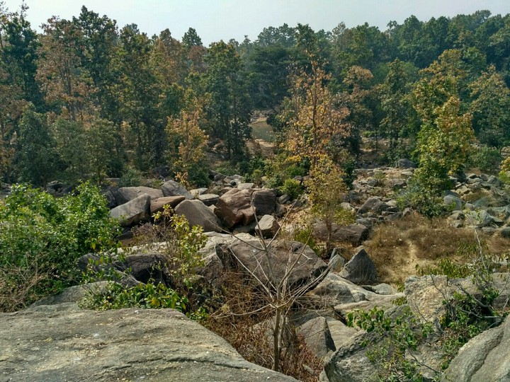 Nature