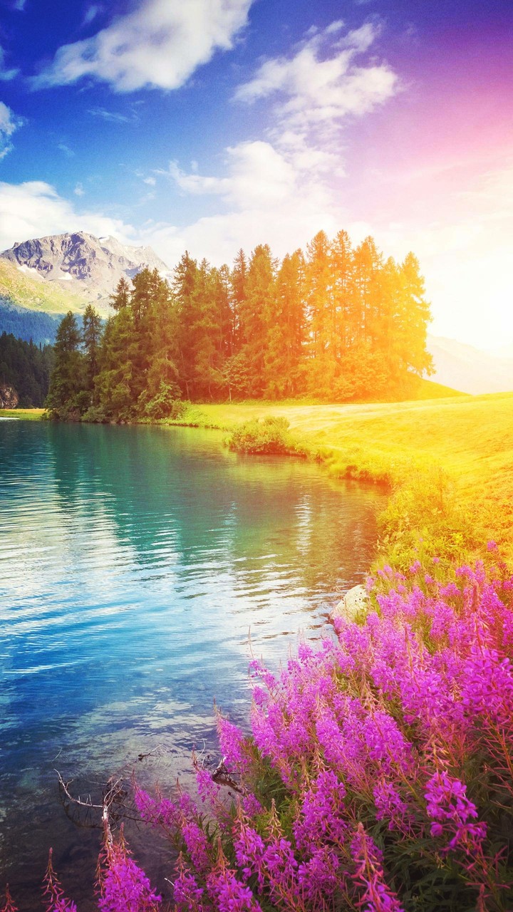 nature