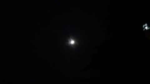 달