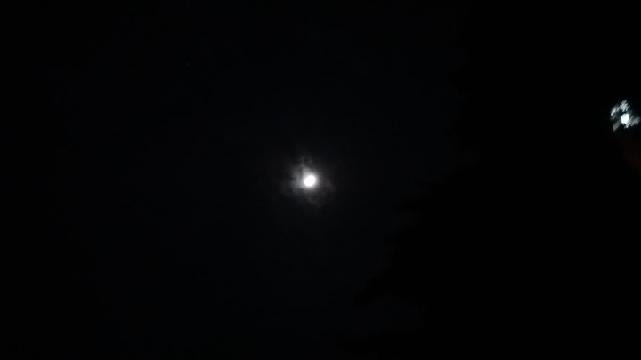 달