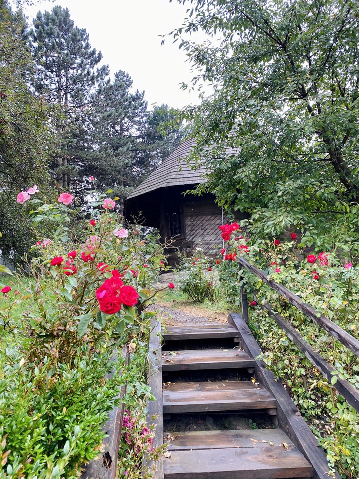stairway to happiness ❤️