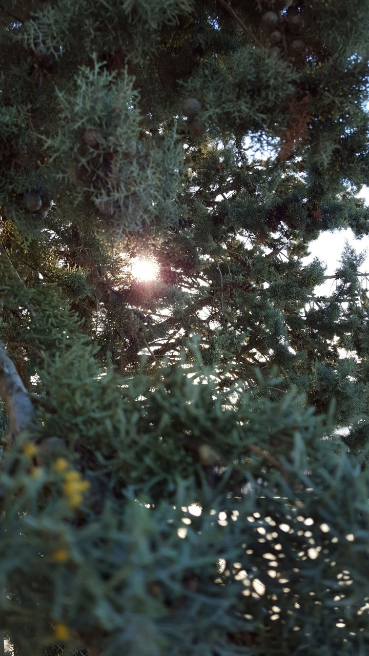 Il sole che nonostante tutto c'è