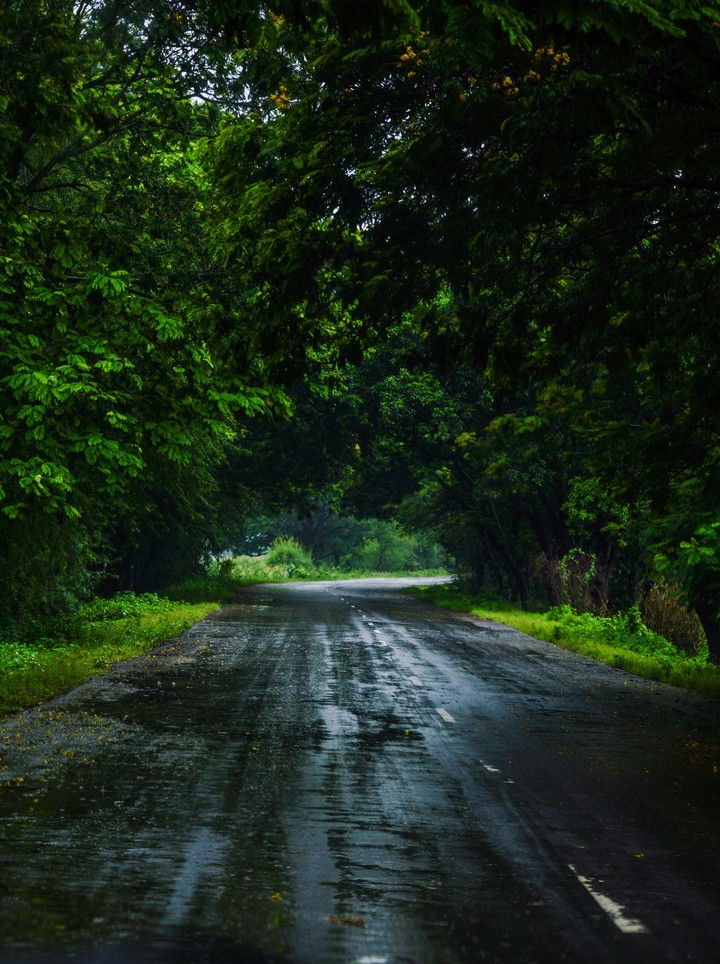 road to nowhere