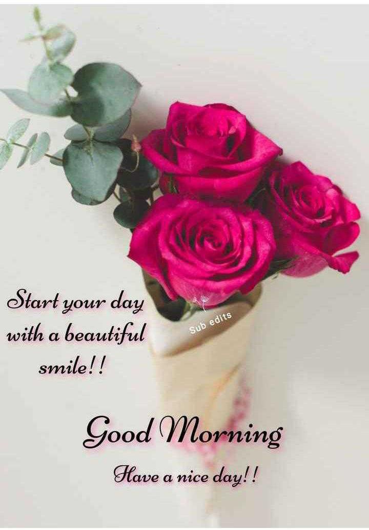 Good morning