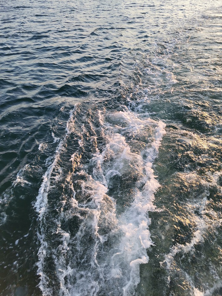 море